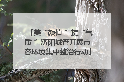 美“颜值 ”提“气质 ”济阳城管开展市容环境集中整治行动
