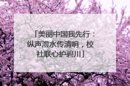美丽中国我先行：纵声澧水传清响，校社联心护碧川