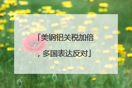 美钢铝关税加倍，多国表达反对