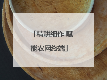 精耕细作 赋能农网终端