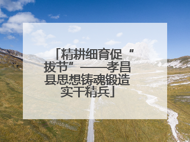 精耕细育促“拔节”——孝昌县思想铸魂锻造实干精兵