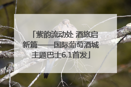 紫韵流动处 酒旅启新篇——国际葡萄酒城主题巴士6.1首发