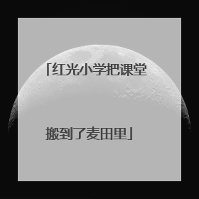 红光小学把课堂搬到了麦田里