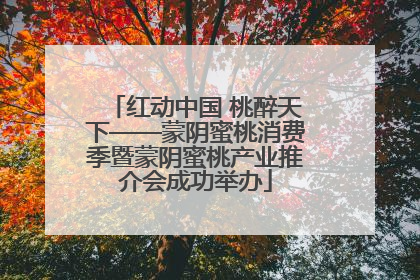 红动中国 桃醉天下——蒙阴蜜桃消费季暨蒙阴蜜桃产业推介会成功举办
