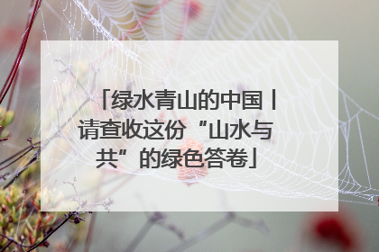 绿水青山的中国丨请查收这份“山水与共”的绿色答卷