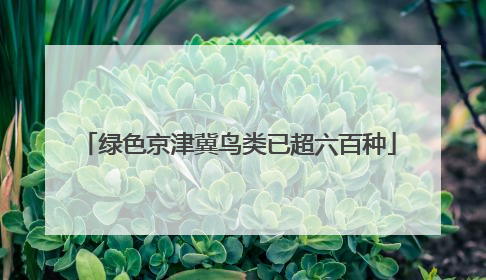 绿色京津冀鸟类已超六百种