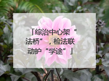 综治中心架“法桥”，检法联动护“学途”