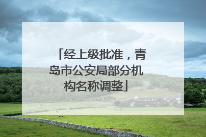 经上级批准，青岛市公安局部分机构名称调整