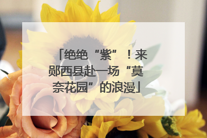 绝绝“紫”！来郧西县赴一场“莫奈花园”的浪漫
