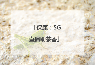 保康：5G直播助茶香