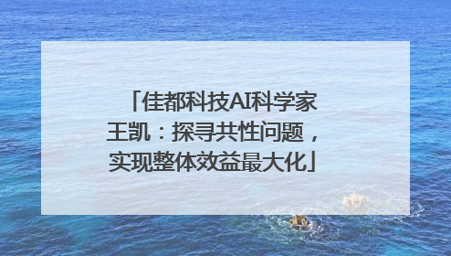 佳都科技AI科学家王凯：探寻共性问题，实现整体效益最大化