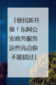 便民新升级！东阿公安政务服务这些亮点你不能错过