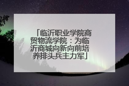 临沂职业学院商贸物流学院：为临沂商城向新向前培养排头兵主力军