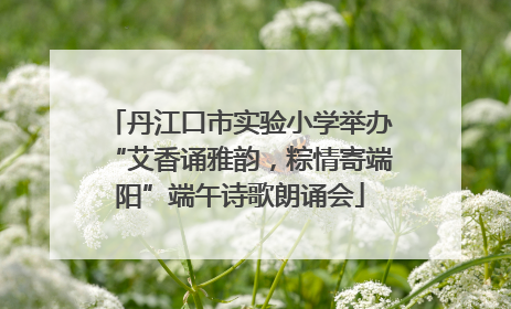 丹江口市实验小学举办“艾香诵雅韵，粽情寄端阳”端午诗歌朗诵会