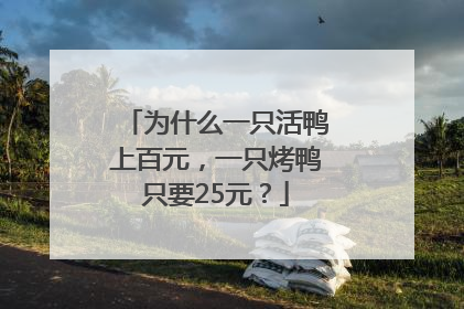 为什么一只活鸭上百元，一只烤鸭只要25元？