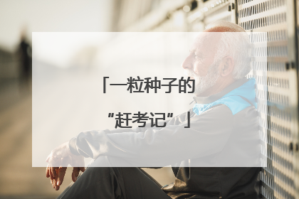 一粒种子的“赶考记”