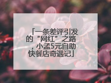 一条差评引发的“网红”之路，小孟5元自助快餐店奇遇记