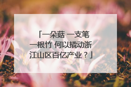 一朵菇 一支笔 一根竹 何以撬动浙江山区百亿产业？