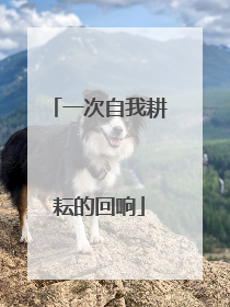 一次自我耕耘的回响