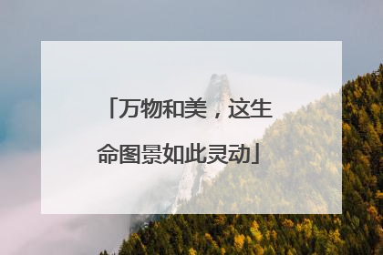 万物和美，这生命图景如此灵动