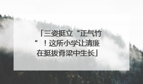 三姿挺立“正气竹”！这所小学让清廉在挺拔脊梁中生长