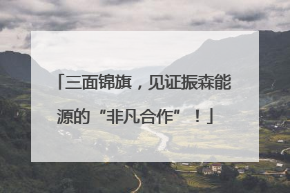 三面锦旗，见证振森能源的“非凡合作”！