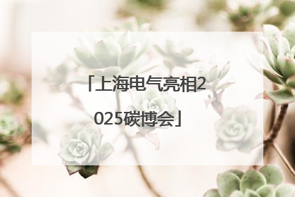 上海电气亮相2025碳博会