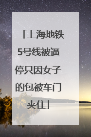 上海地铁5号线被逼停只因女子的包被车门夹住