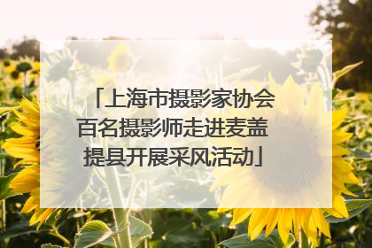 上海市摄影家协会百名摄影师走进麦盖提县开展采风活动