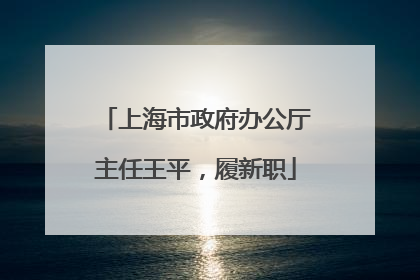上海市政府办公厅主任王平，履新职