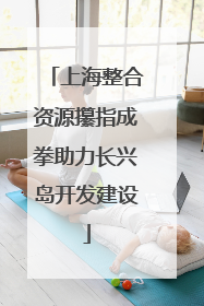 上海整合资源攥指成拳助力长兴岛开发建设