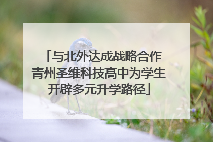 与北外达成战略合作 青州圣维科技高中为学生开辟多元升学路径