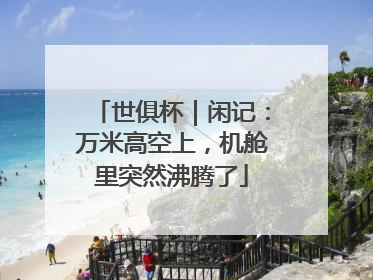 世俱杯｜闲记：万米高空上，机舱里突然沸腾了