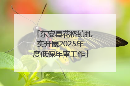 东安县花桥镇扎实开展2025年度低保年审工作
