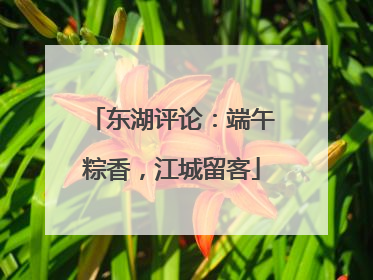 东湖评论：端午粽香，江城留客