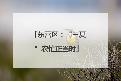 东营区：“三夏”农忙正当时