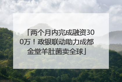 两个月内完成融资300万！政银联动助力成都金堂羊肚菌卖全球