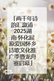 两千年诗韵汇溆浦 2025湖南·怀化屈原爱国怀乡诗歌文化推广季暨龙舟赛启幕