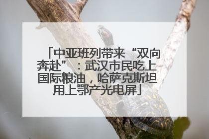 中亚班列带来“双向奔赴”：武汉市民吃上国际粮油，哈萨克斯坦用上鄂产光电屏