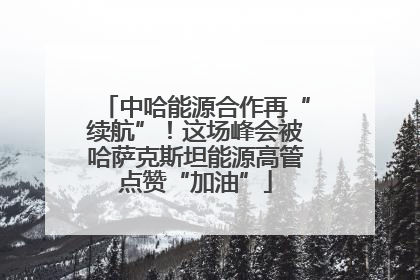 中哈能源合作再“续航”！这场峰会被哈萨克斯坦能源高管点赞“加油”