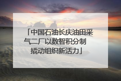 中国石油长庆油田采气二厂以数智积分制 撬动组织新活力
