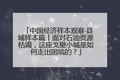 中国经济样本观察·县域样本篇丨面对石油资源枯竭，这座戈壁小城是如何走出困境的？