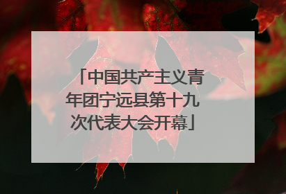 中国共产主义青年团宁远县第十九次代表大会开幕