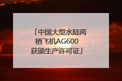 中国大型水陆两栖飞机AG600获颁生产许可证