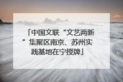 中国文联“文艺两新”集聚区南京、苏州实践基地在宁授牌