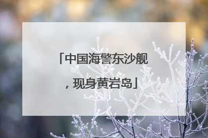 中国海警东沙舰，现身黄岩岛