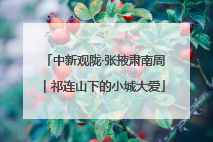 中新观陇·张掖肃南周｜祁连山下的小城大爱