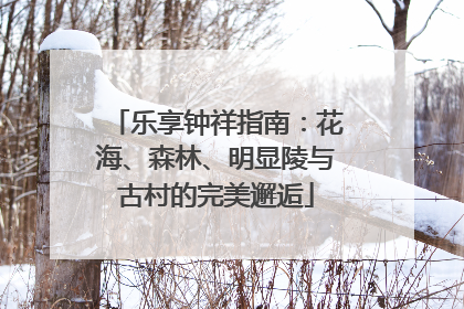 乐享钟祥指南：花海、森林、明显陵与古村的完美邂逅