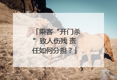 乘客“开门杀”致人伤残 责任如何分担？