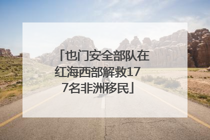也门安全部队在红海西部解救177名非洲移民